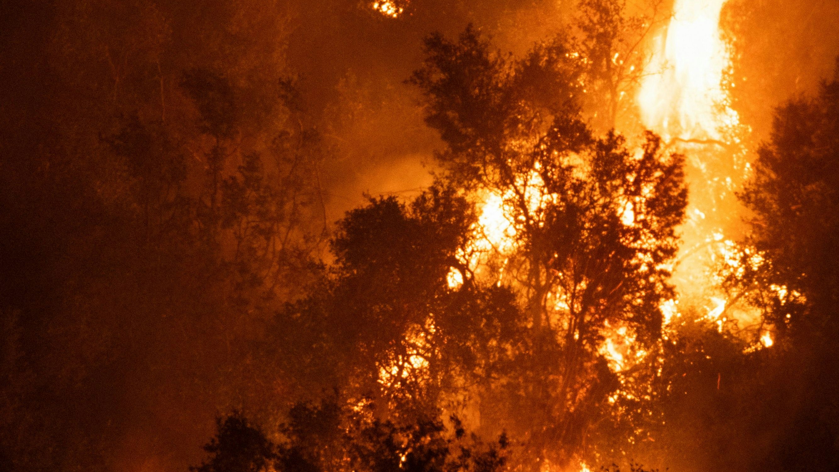 Line Fire burns in the mountains over Highland, California, U.S. September 7, 2024. REUTERS/Etienne Laurent