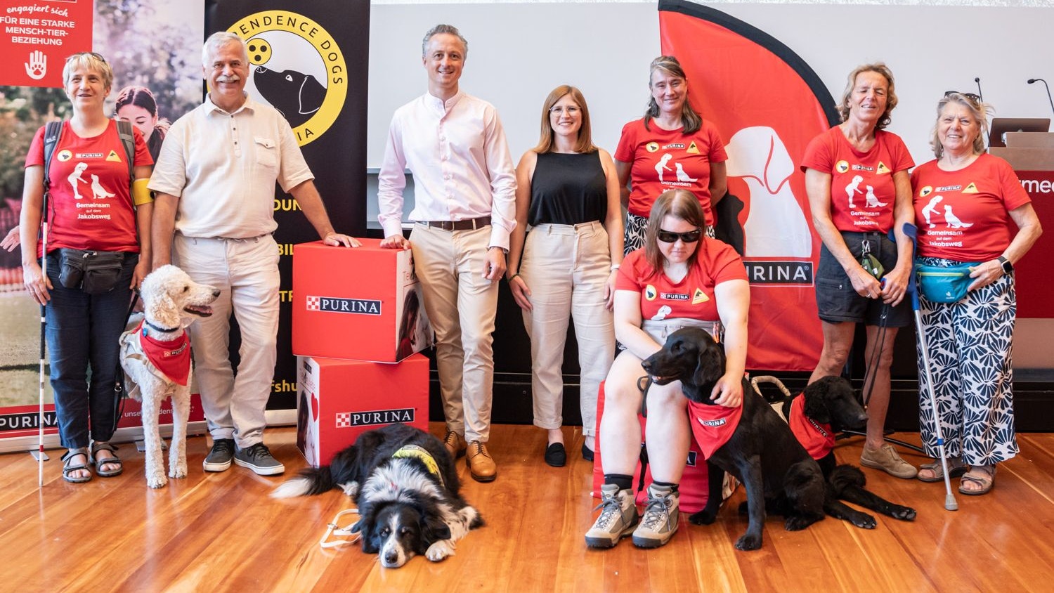Heute.at - Dank Hunde – 5 blinde Österreicher begehen Jakobsweg
