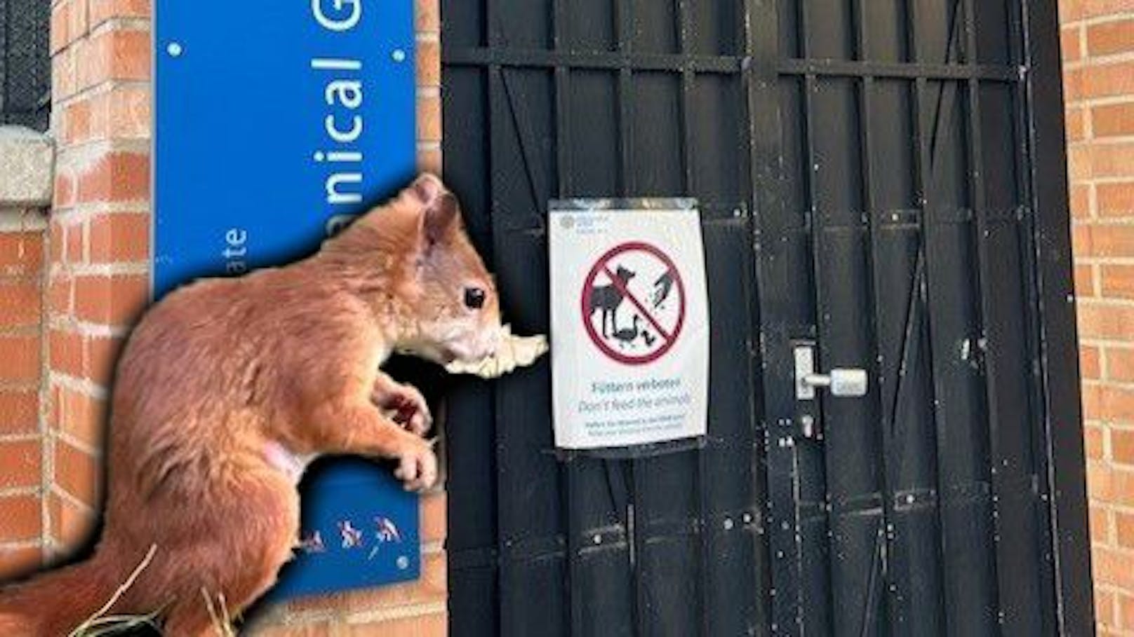 Fütterverbot in Park – droht kleinen Tierchen Hunger?