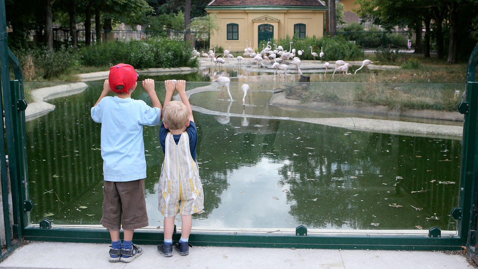 Große Freude über Nachwuchs im Tiergarten Schönbrunn