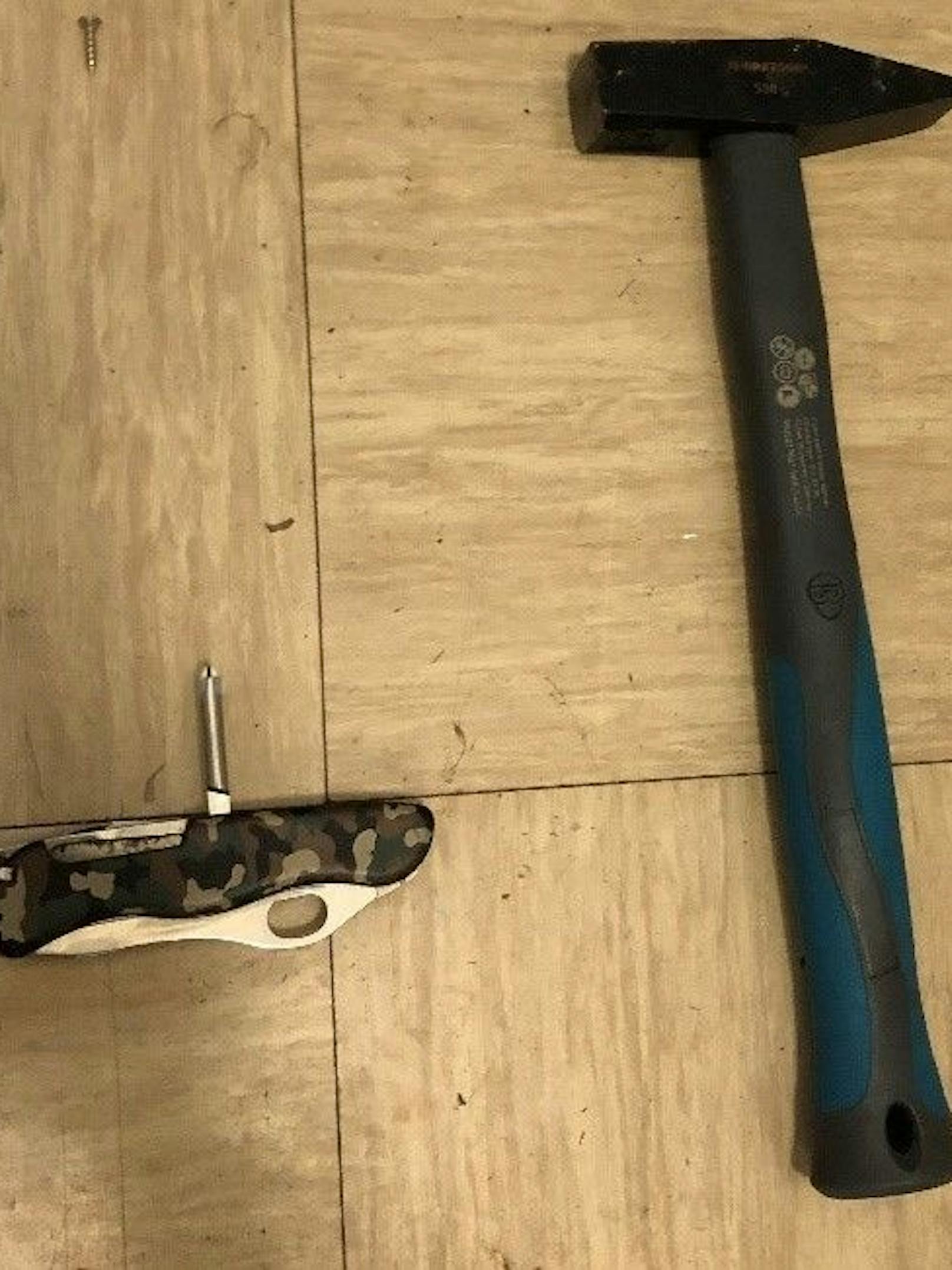 Mit Hammer und Taschenmesser hat ein 50-Jähriger am Montag die WEGA attackiert.