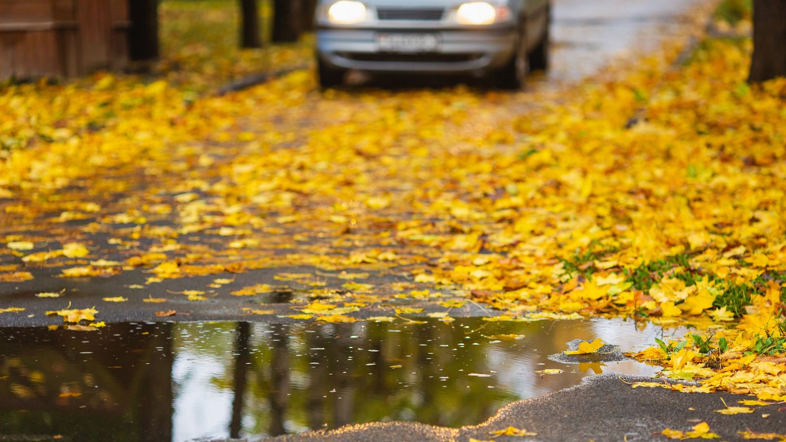 "Spätsommer-Glatteis" – diese Gefahr lauert auf Straßen