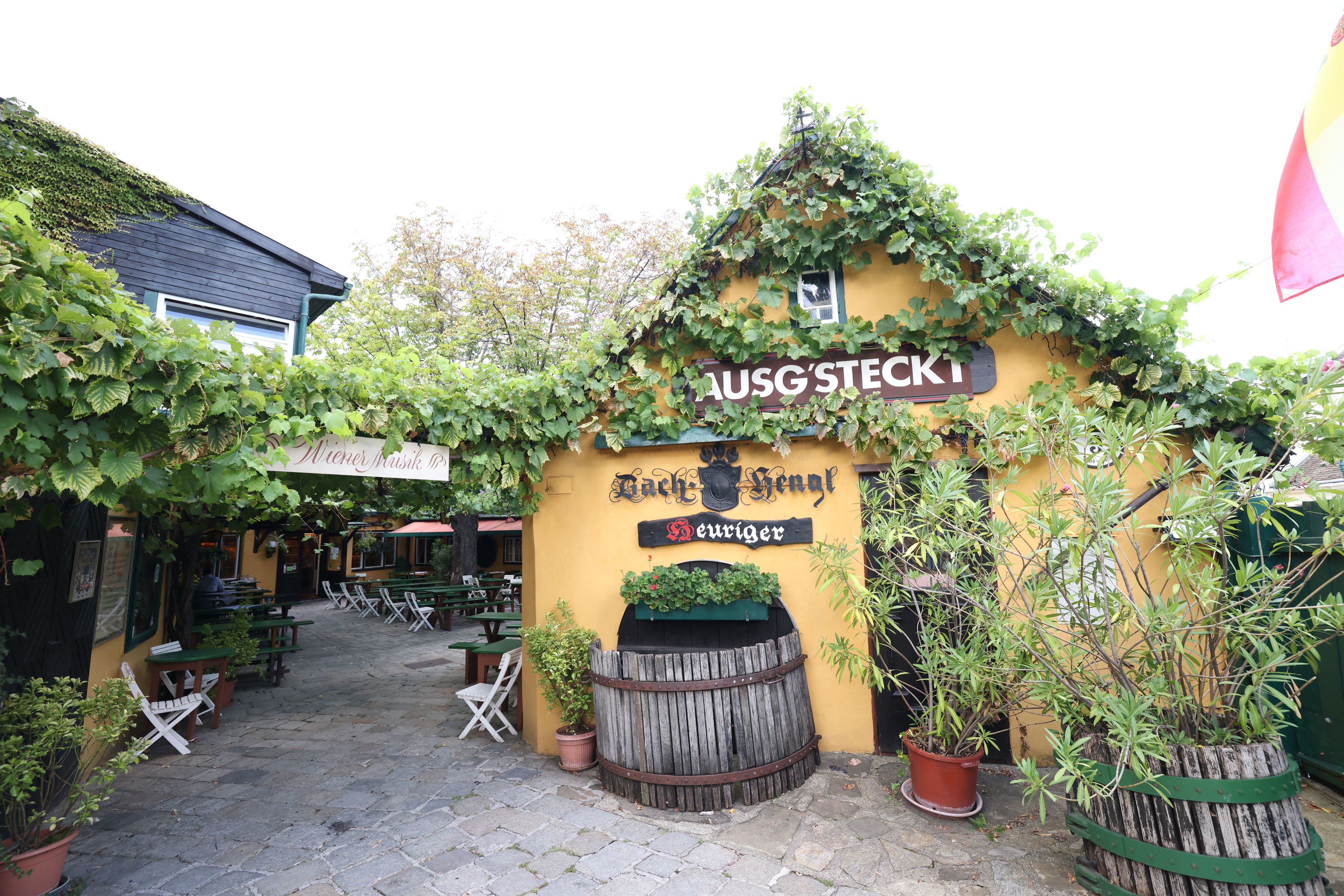 Gibt’s in den Wiener Heurigen bald nur noch Wasser zu trinken?