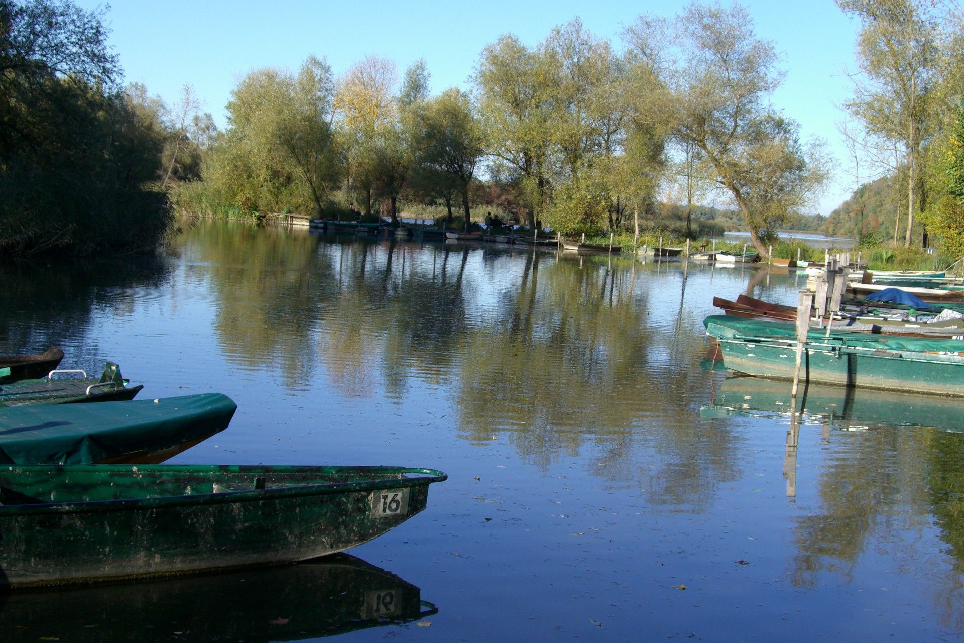 Bei einer Bootsanlegestelle in Reichersberg wollte das Paar eigentlich nur Enten füttern.