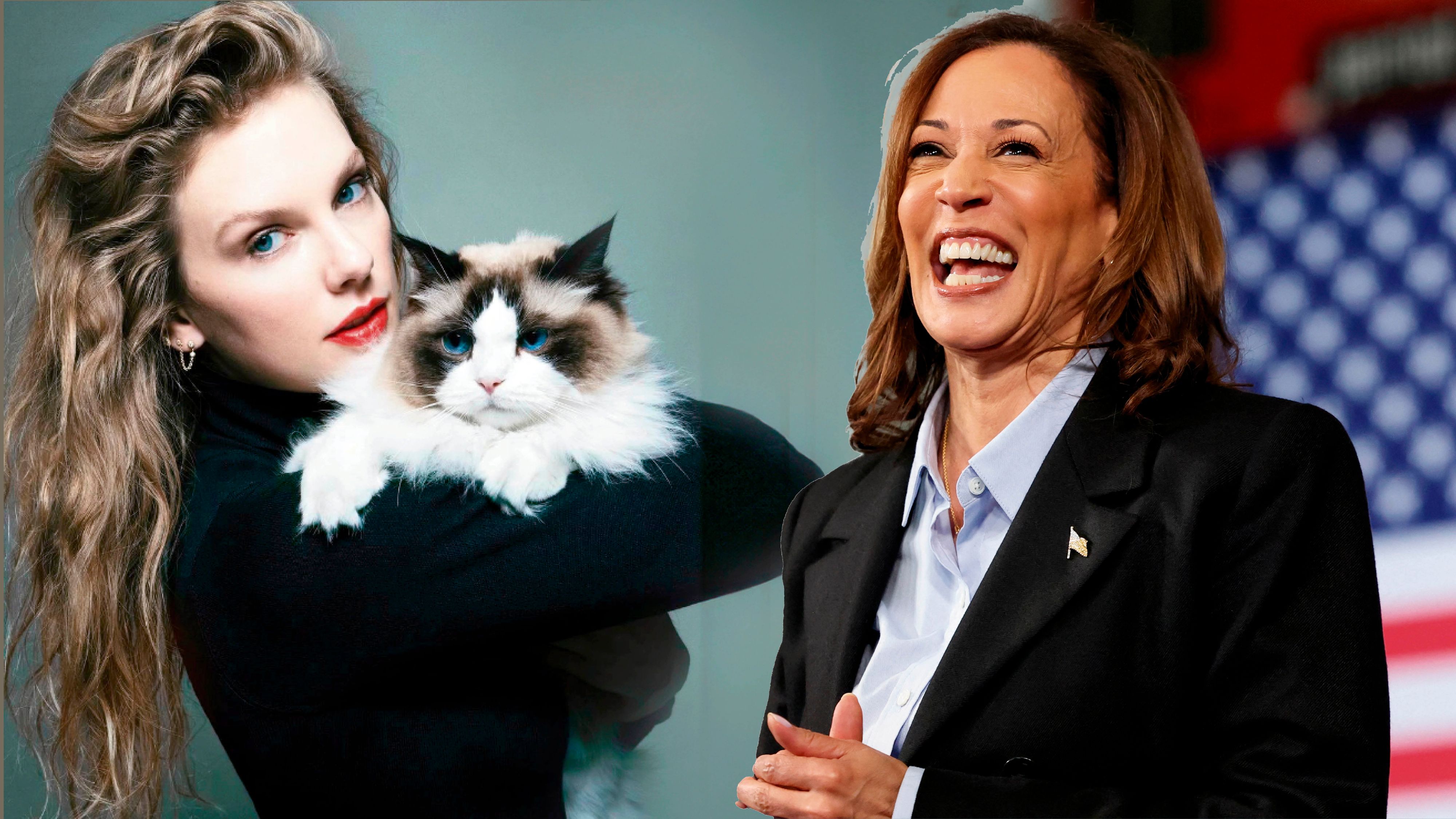 Swift und Harris – Zwei 