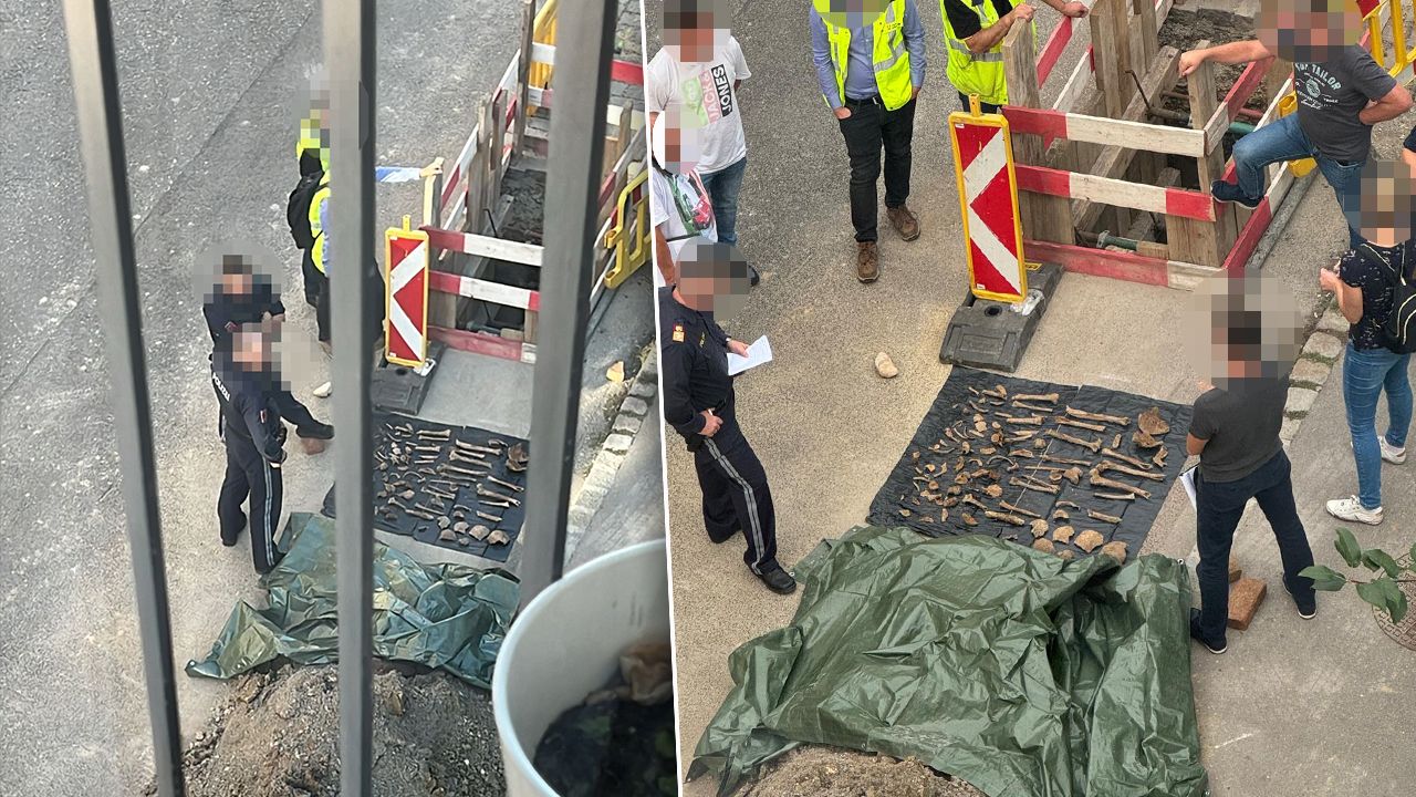 Knochen-Fund in Wien-Meidling!