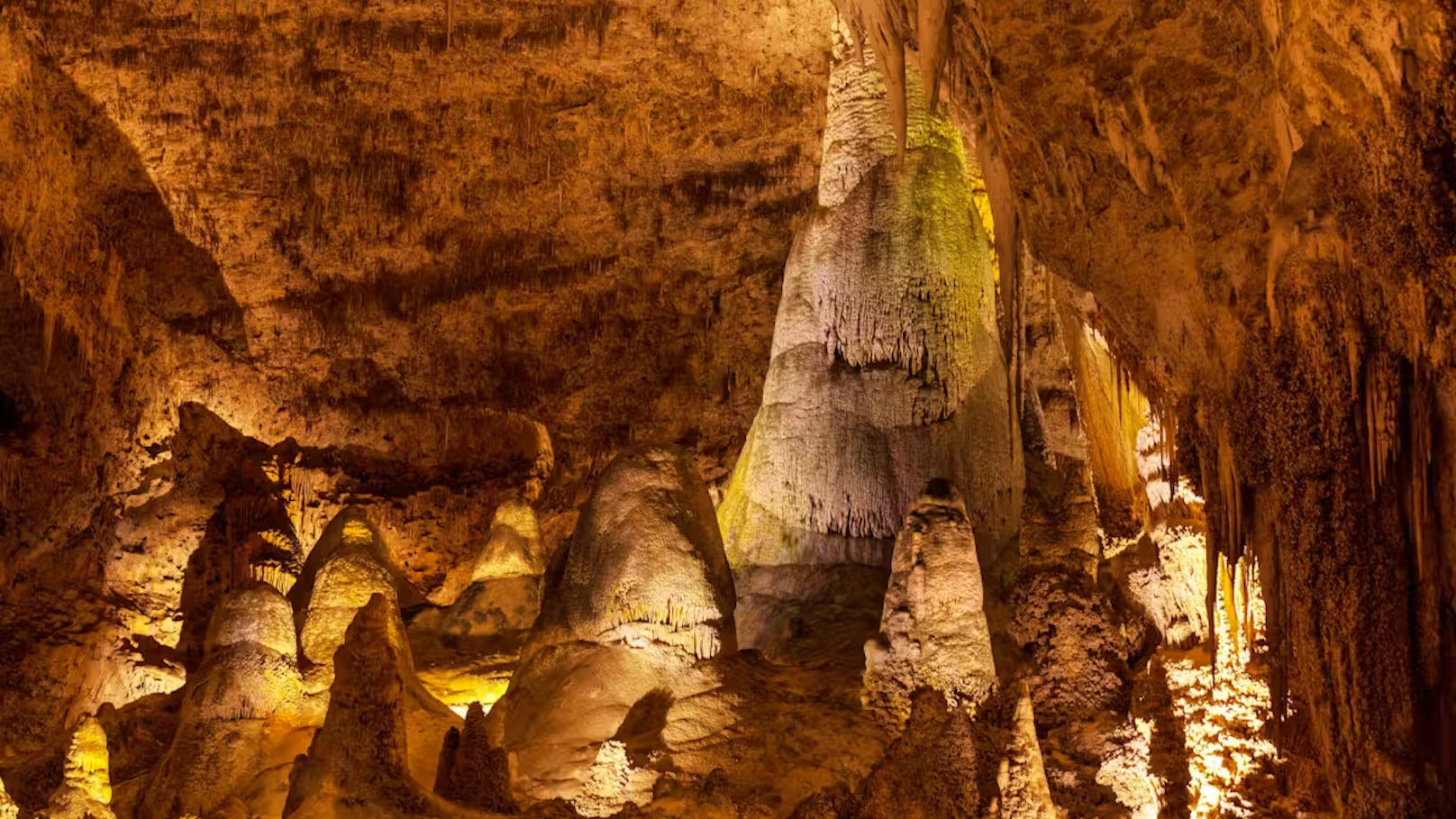 Zwar haben Ranger den Schimmel mittlerweile entfernt, trotzdem könnten die Chips laut den Verantwortlichen für die Höhle eine "weltverändernde Wirkung" haben.