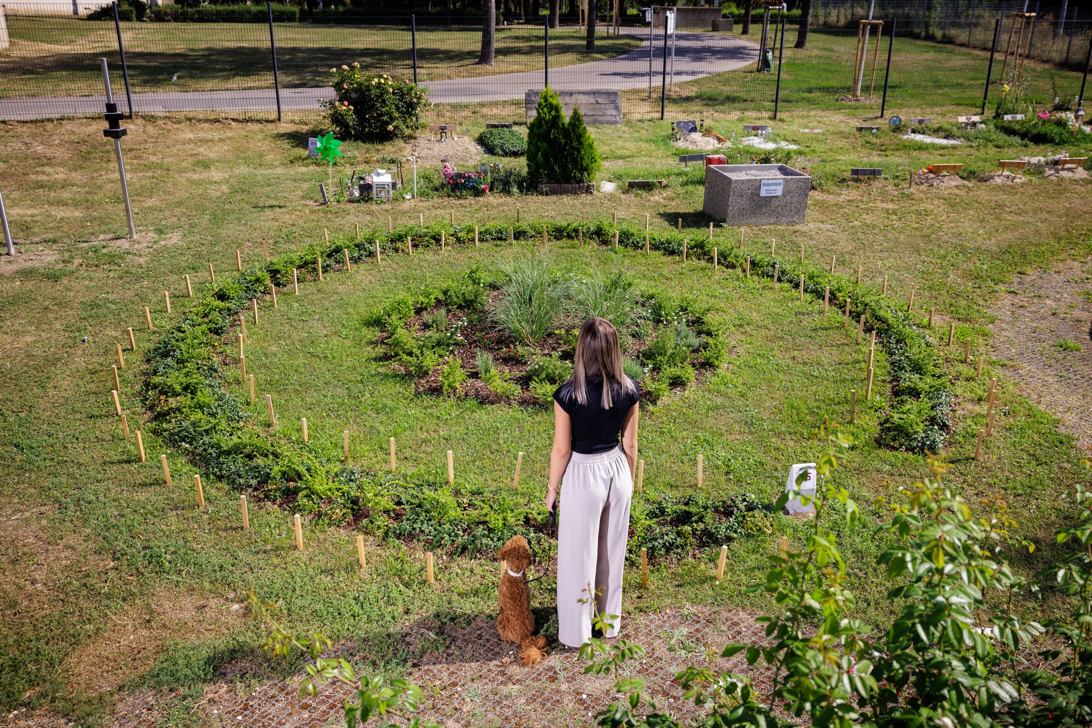 Für tierische Begleiter gibt es nun am Tierfriedhof Simmering die Möglichkeit der Naturbestattung