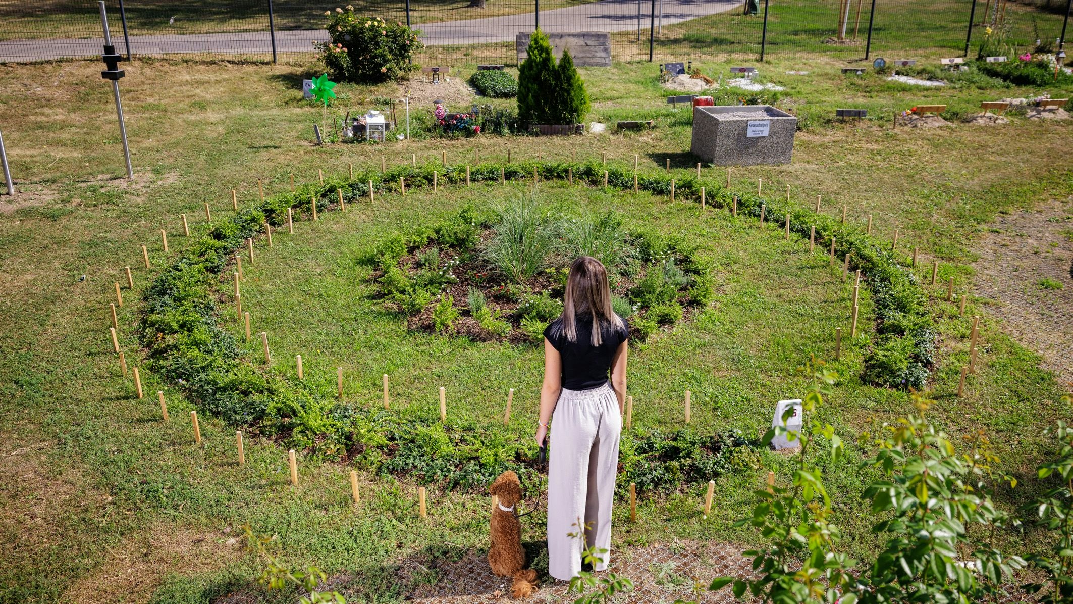Für treue, tierische Begleiter gibt es nun am Tierfriedhof Simmering die Möglichkeit der Naturbestattung