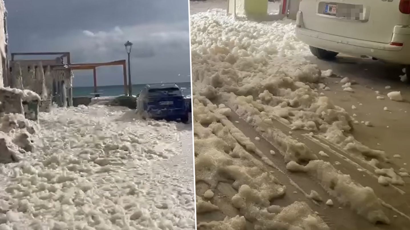 Hast du so etwas schon einmal gesehen?