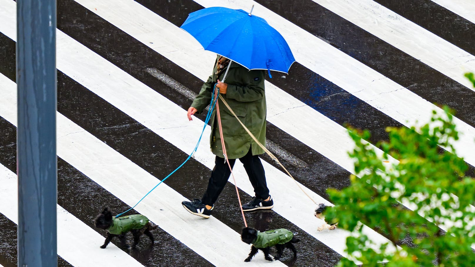 Unwetter und Regenfall in der oberösterreichischen Landeshauptstadt Linz.