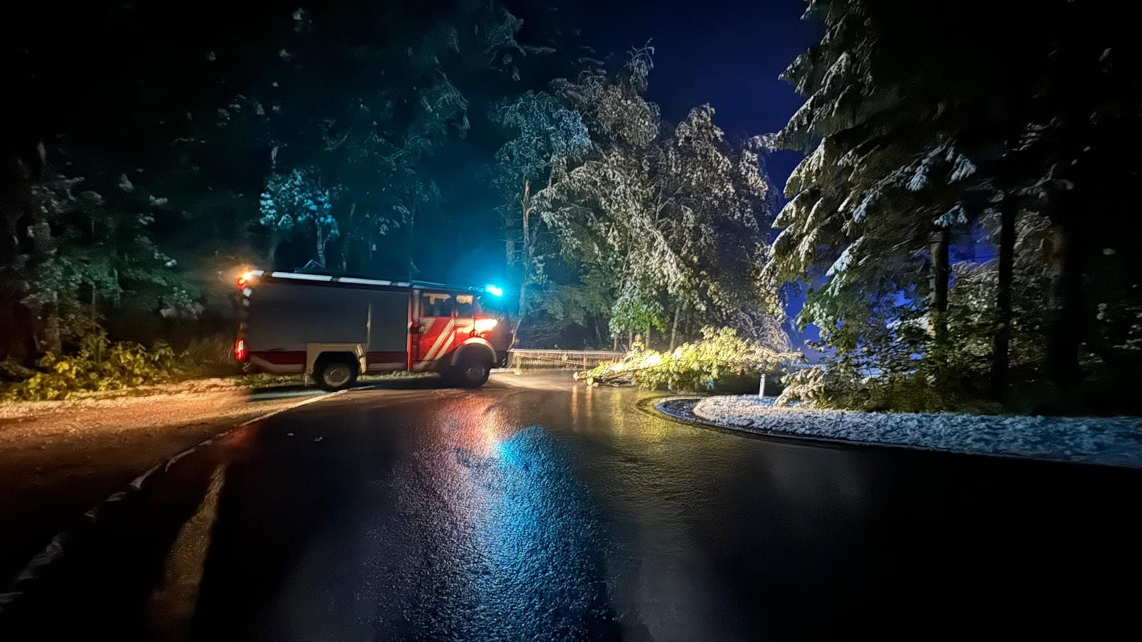 Wintereinbruch im Pongau: Einsatz wegen eines Baums auf der Straße, auf der Kaiserau. 