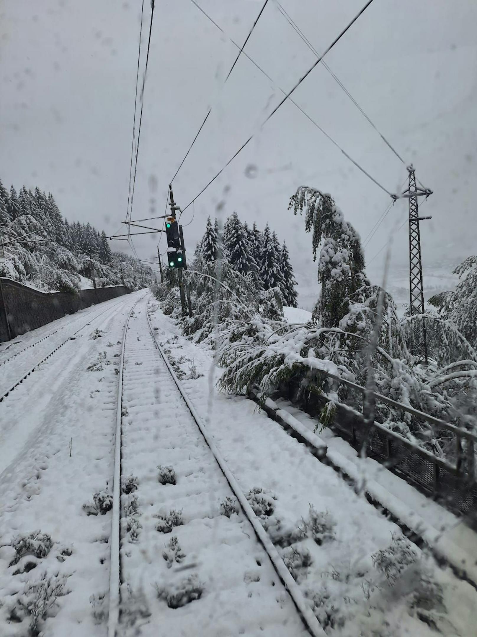 Die anhaltenden Unwetter machen auch den österreichischen Bundesbahnen zu schaffen. Auf einer Strecke von acht Kilometern müssen Bäume aus dem Nahbereich der Oberleitung entfernt werden. 