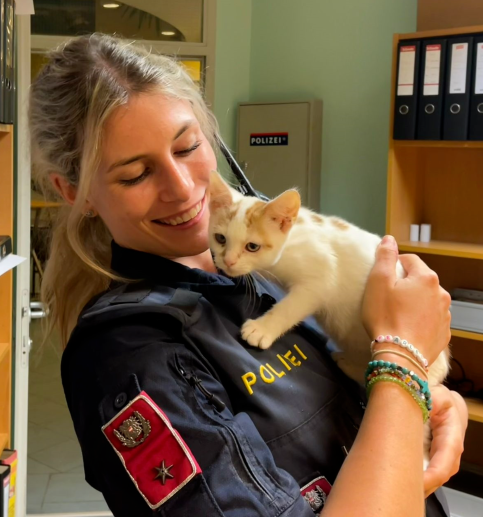 Polizisten retteten dieses und fünf weiter Kätzchen.
