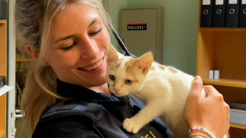 Polizisten retteten dieses und fünf weiter Kätzchen.