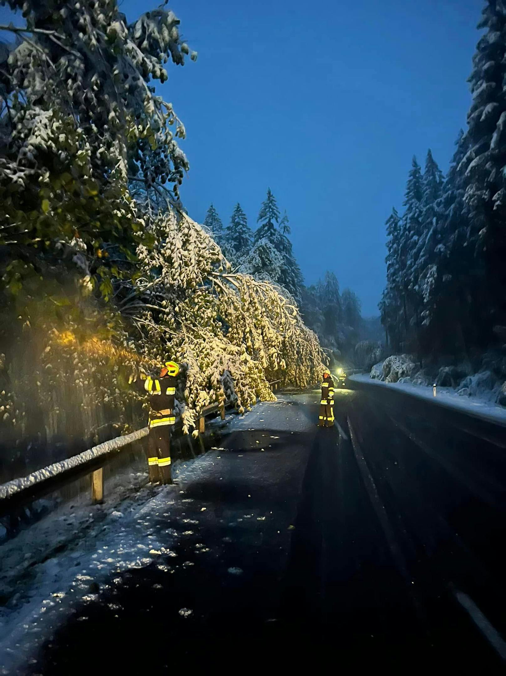 Umgestürzte Bäume durch die starken Unwetter beschäftigten die Feuerwehr in Weng bei Admont. 