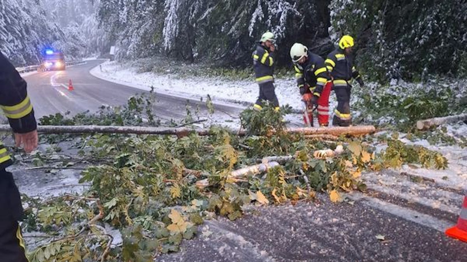 Starker Schneefall in Bergen – erste Bäume stürzen um