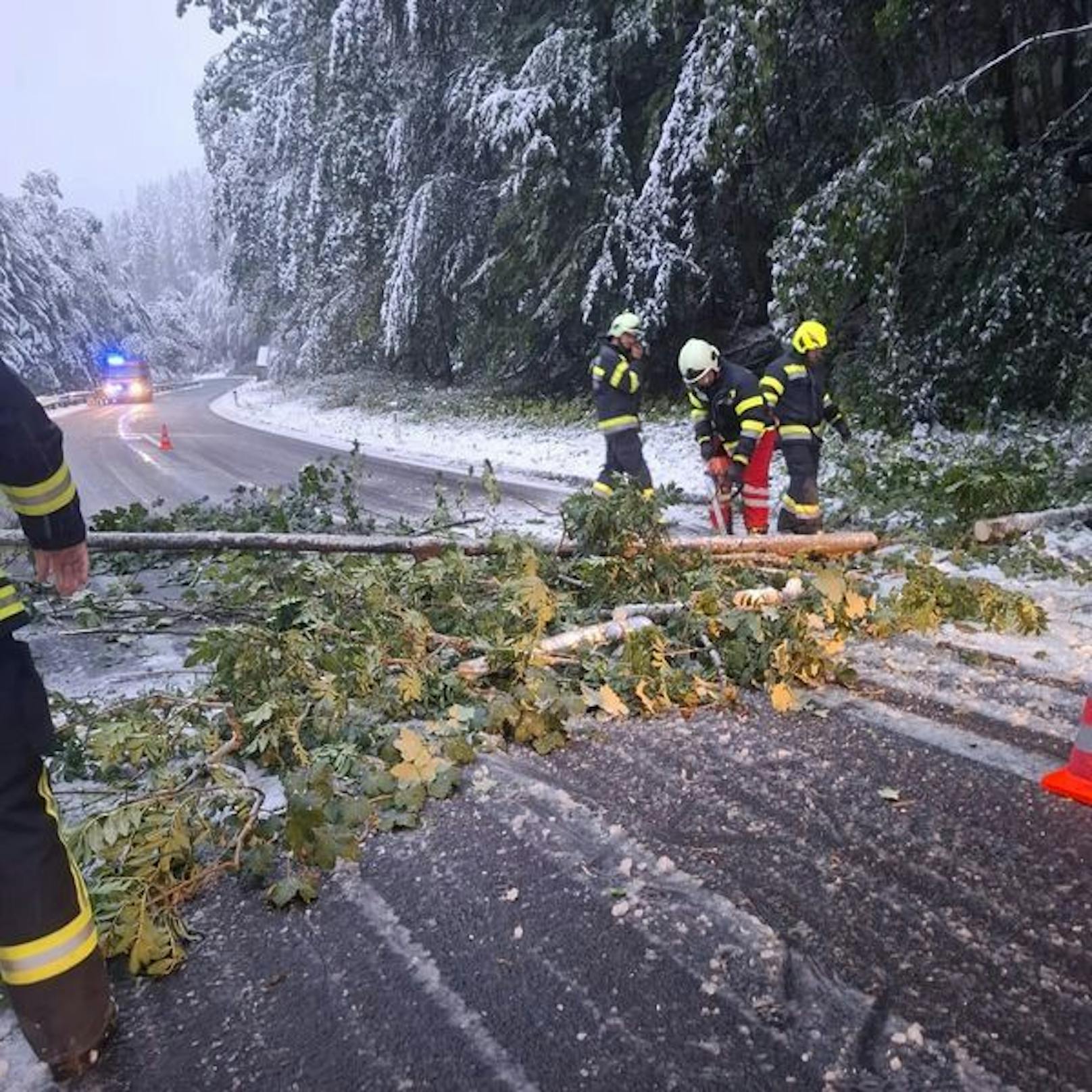 Im Süden von Oberösterreich musste die Feuerwehr Bäume umschneiden, die umzustürzen drohten.