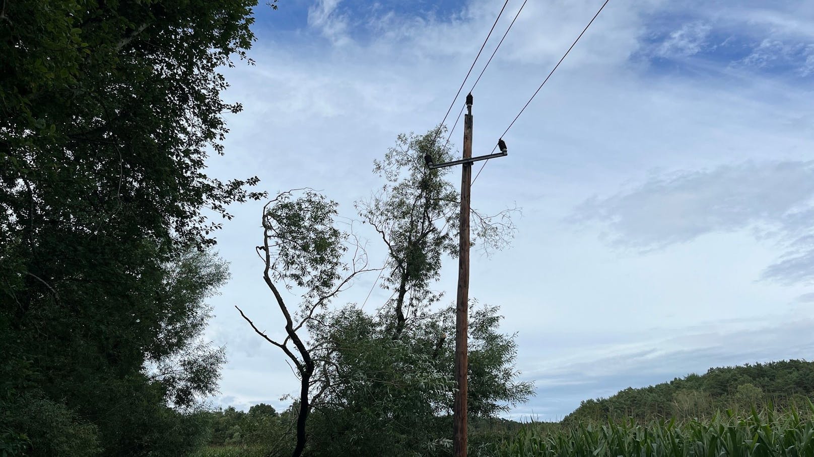 Im Bezirk Oberwart kam es in den letzten Stunden bereits zu zahlreichen wetterbedingten Einsätzen.