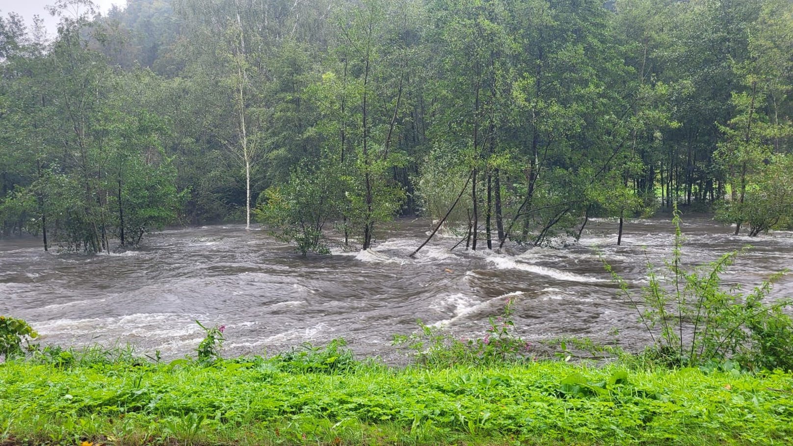 Die aktuelle Lage rund um den Stausee Ottenstein. 