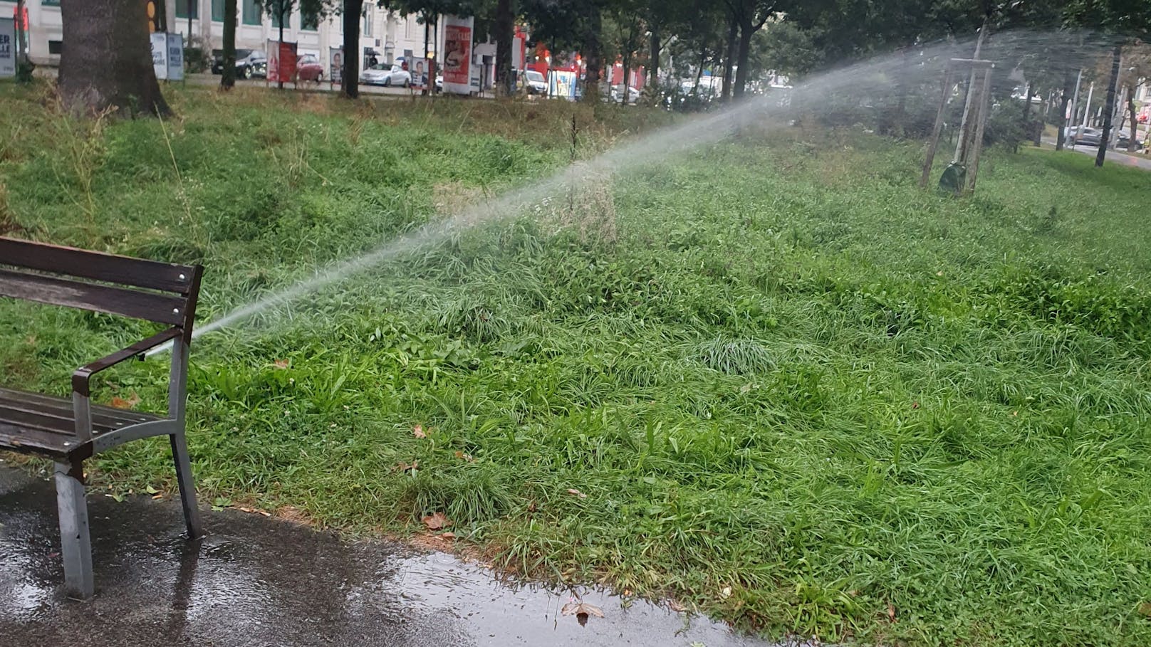 Heftiger Dauerregen – Aber Stadt Wien gießt weiter