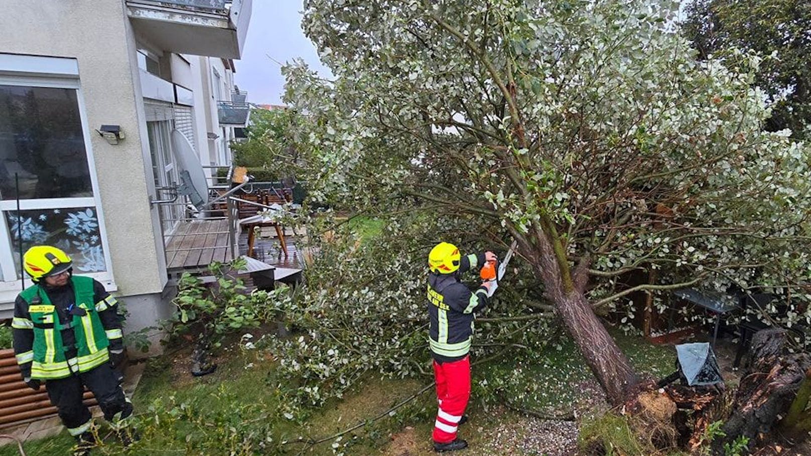 Sturmschaden im Burgenland. Die FF Neusiedl am See musste einen entwurzelten Baum beseitigen.