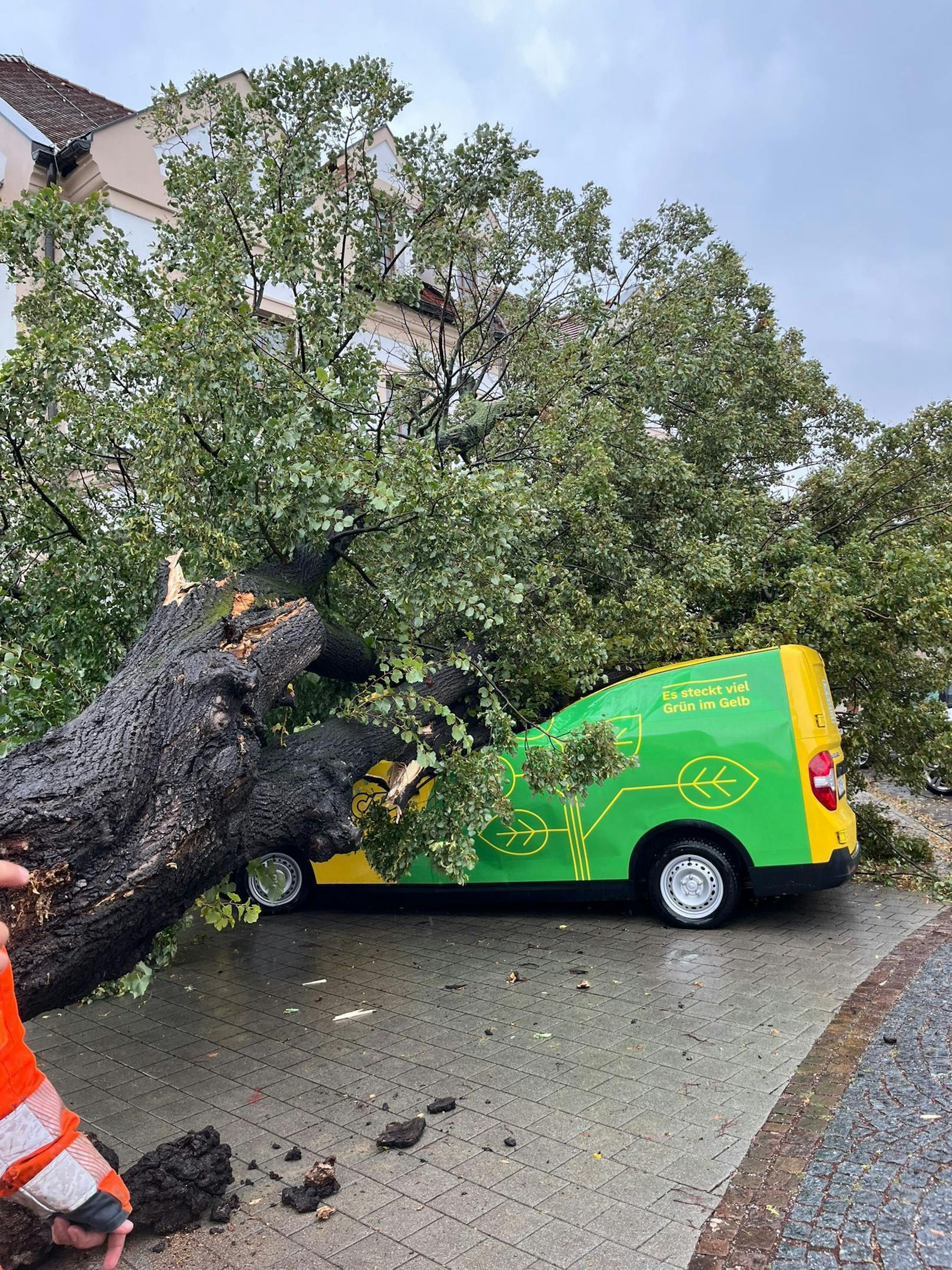 Erste Unwetterschäden im Burgenland - hier fiel in Purbach ein Baum auf ein Auto. Zum Glück ist niemand verletzt.