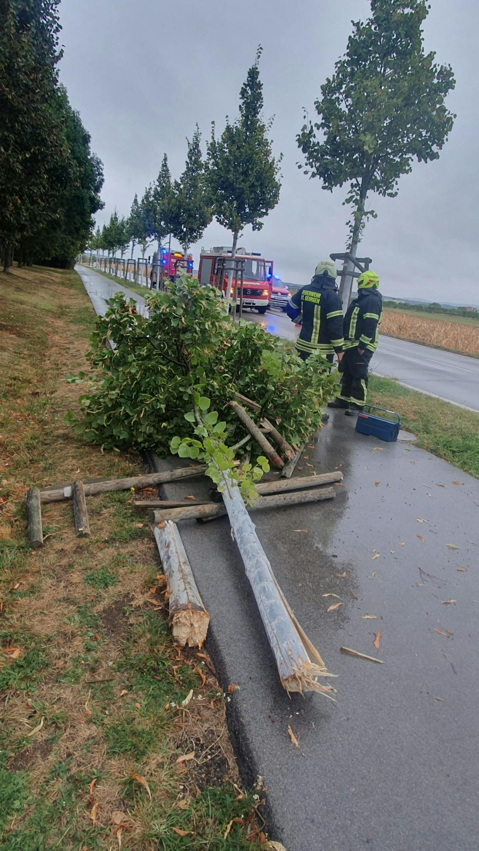 Regen- und Schneestürme hielten die FF Eisenstadt auf Trab.