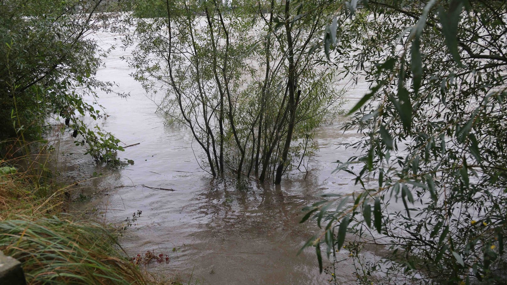 Die Lage in Österreich spitzt sich zu! Flüsse gehen über und auch Felder können kein Wasser mehr aufnehmen.