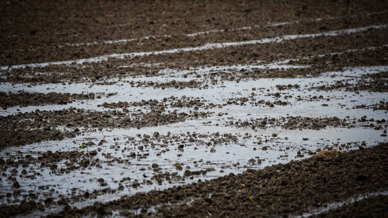 Die Lage in Österreich spitzt sich zu! Flüsse gehen über und auch Felder können kein Wasser mehr aufnehmen.