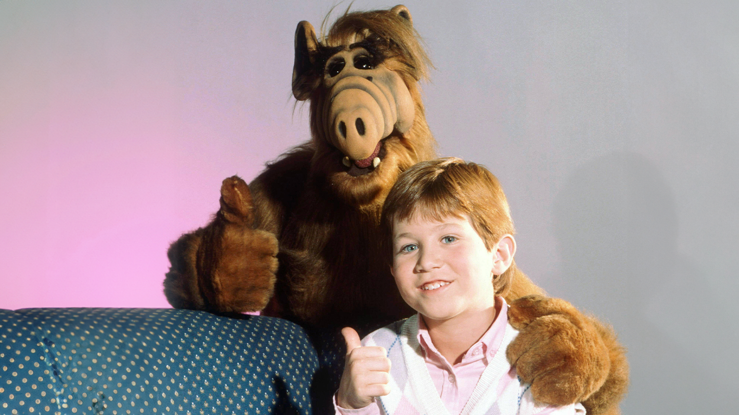 Benji Gregory wurde in seiner Rolle als Brian Tanner in der Serie 