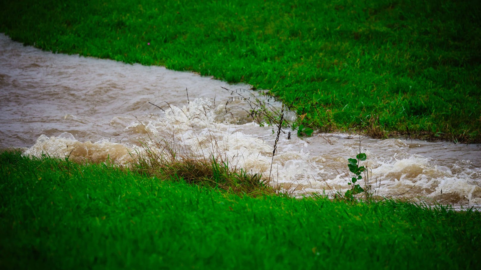 Die Lage in Österreich spitzt sich zu! Flüsse gehen über und auch Felder können kein Wasser mehr aufnehmen.