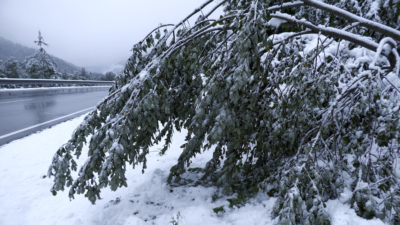 Das Vb-Tief sorgt in den Alpen für ein kräftiges Schneechaos. Oberhalb 1400 Metern ist viel Neuschnee gefallen. Was im Tiefland als Regen fällt, wird in Obertauern als Schnee gepudert.