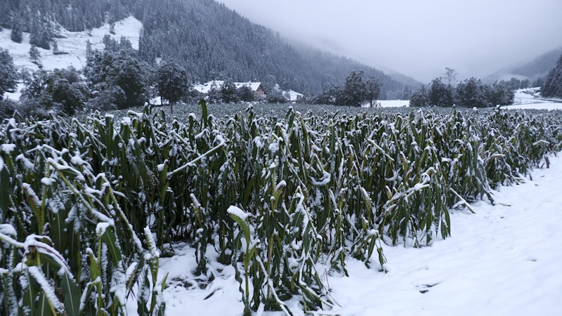 Das Vb-Tief sorgt in den Alpen für ein kräftiges Schneechaos. Oberhalb 1400 Metern ist viel Neuschnee gefallen. Was im Tiefland als Regen fällt, wird in Obertauern als Schnee gepudert.