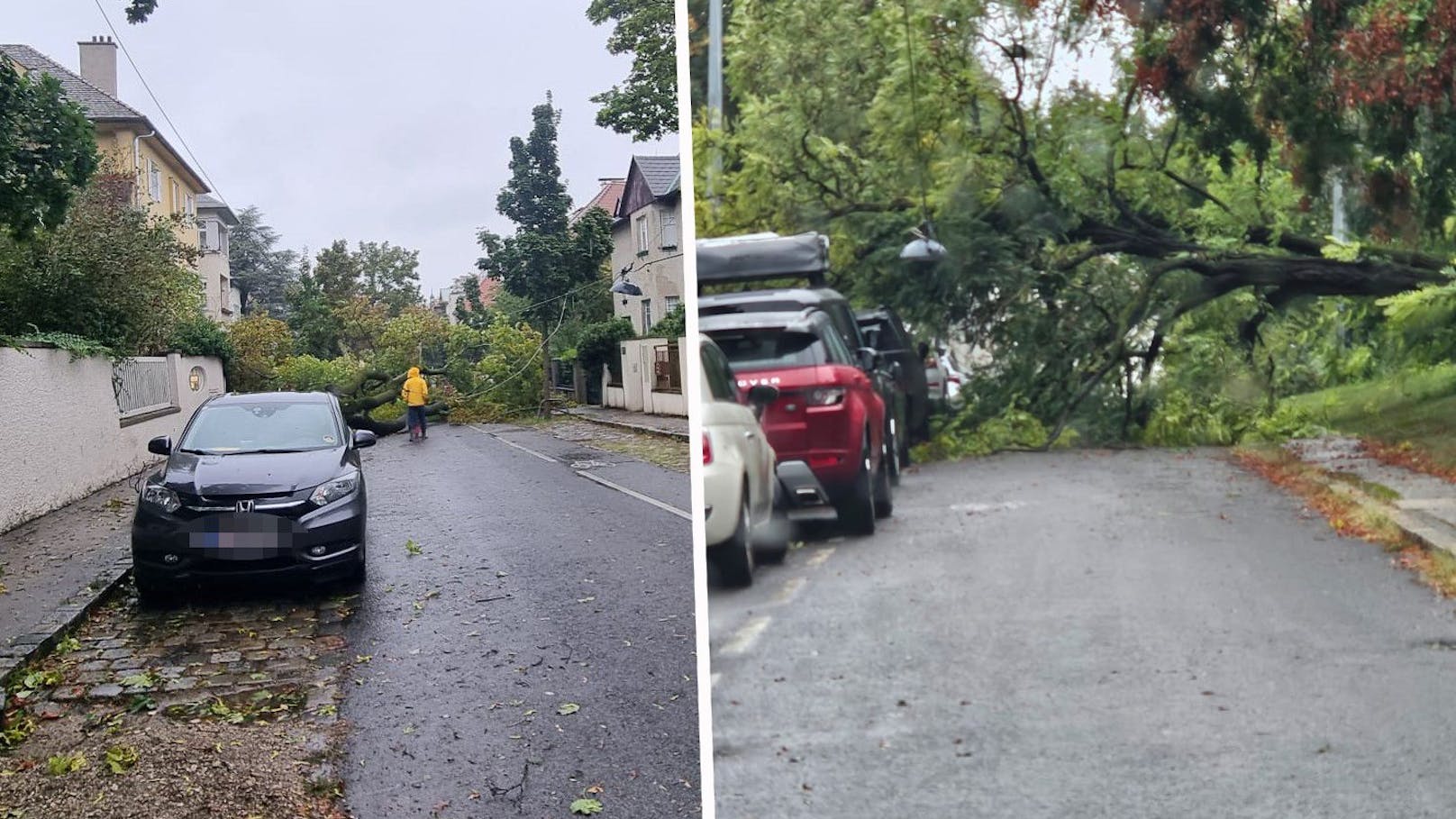 Im 13. Wiener Bezirk fiel bereits am Samstag in der Münichreiterstraße ein riesiger Baum um und beschädigt wohl einige geparkte Fahrzeuge.