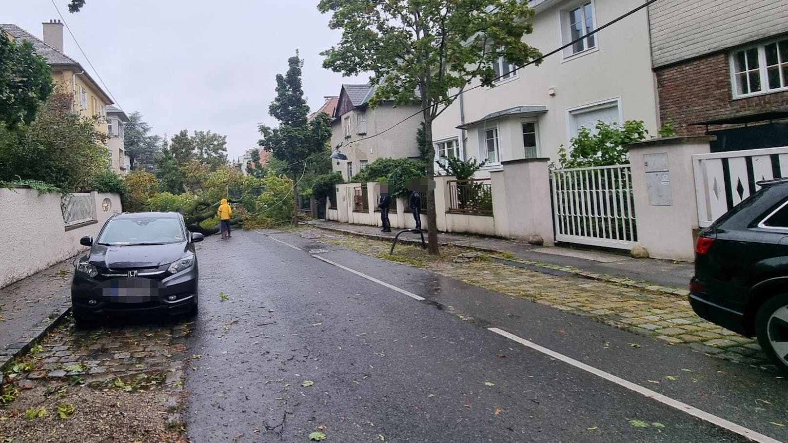 Im 13. Wiener Bezirk fiel in der Münichreiterstraße ein riesiger Baum um und beschädigt wohl einige geparkte Fahrzeuge.