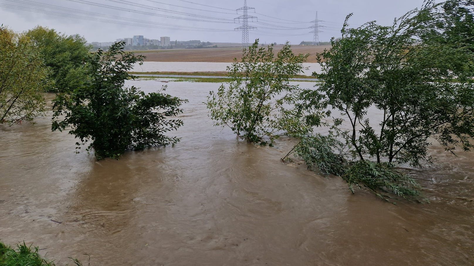 Hier der Liesingbach auf Höhe Kirsteweg Kreuzung Klederinger Straße.