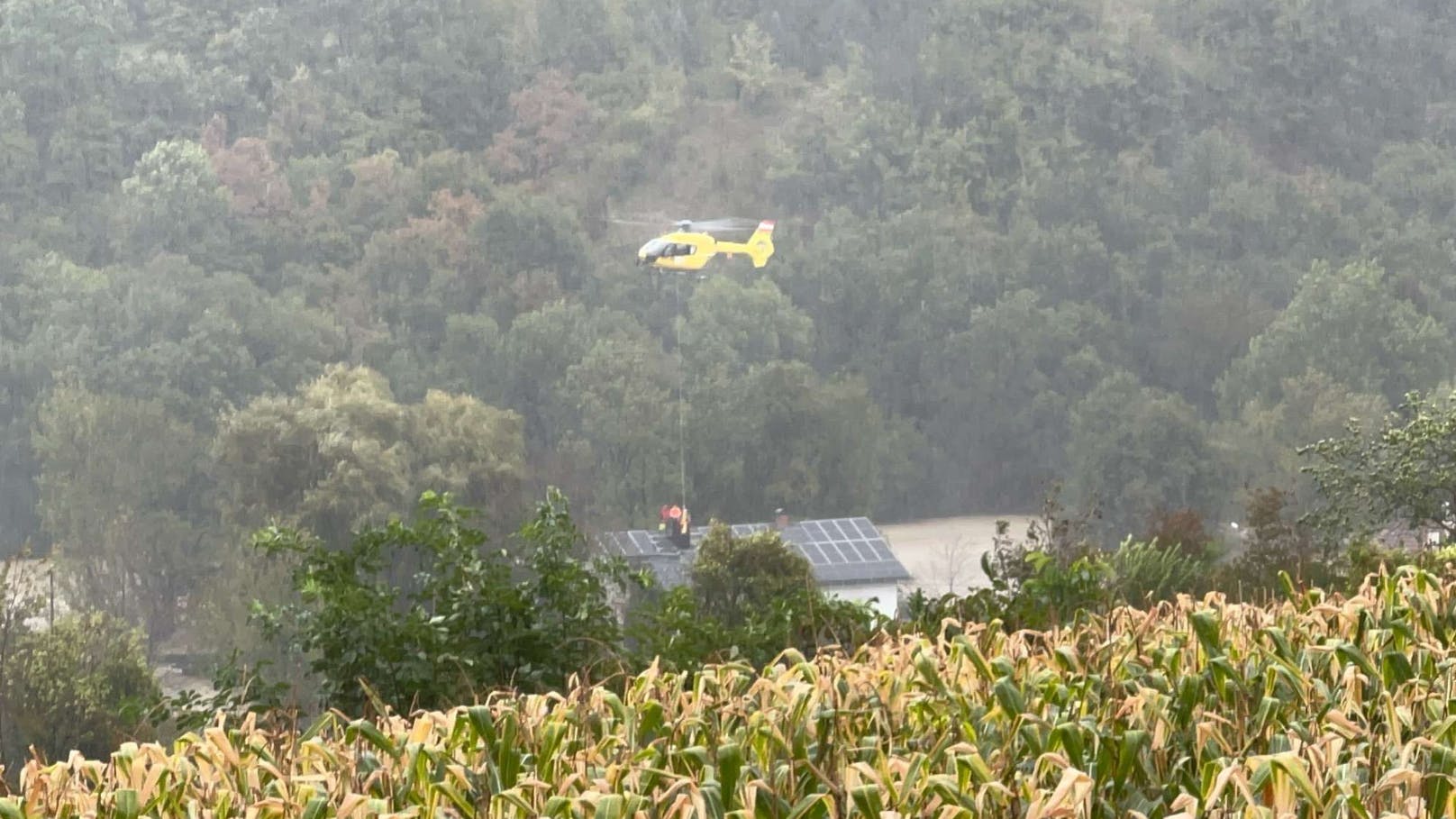 Rettungsaktionen in Melk, Spielberg, Loosdorf und Zelking