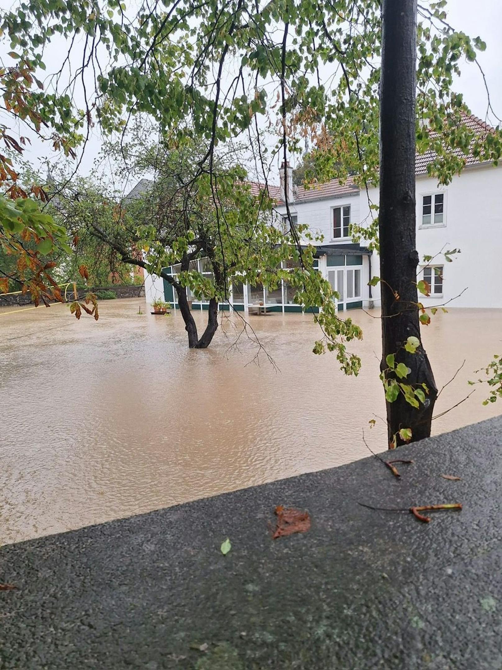 Die Unwetter, der Starkregen und der Sturm führen auch im Bezirk Baden zu hunderten Feuerwehreinsätzen. Die Feuerwehr Ebreichsdorf ist aufgrund zahlreicher umgestürzter Bäume im Einsatz.