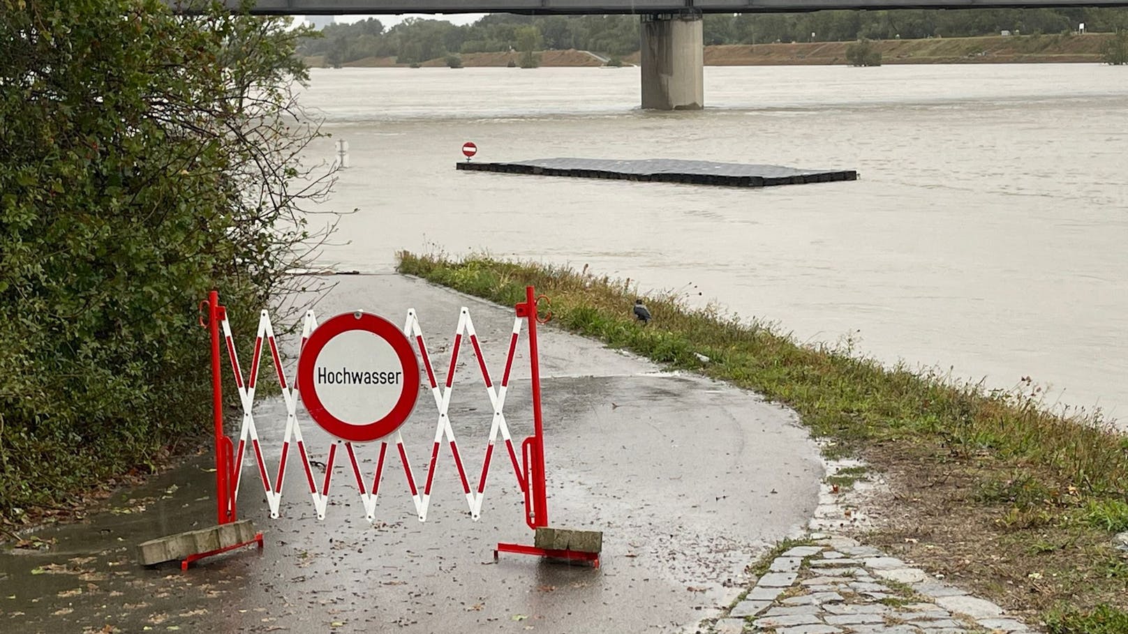 Warnstufe VIOLETT! Sintflut-Regen geht über Wien nieder