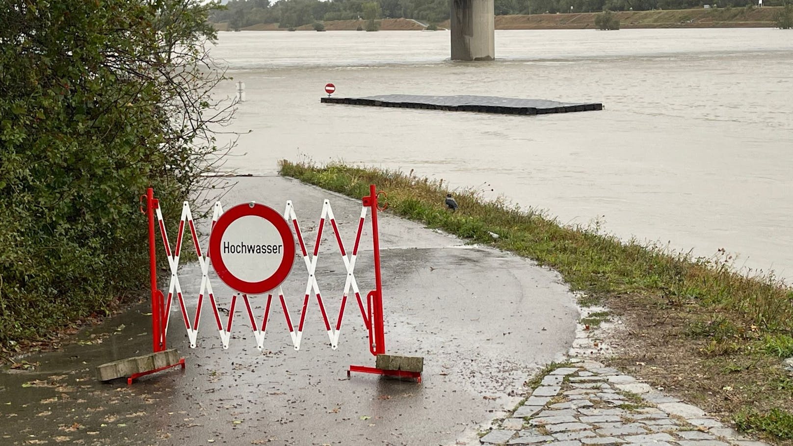 Der Radweg entlang der Neuen Donau – Höhe Steinspornbrücke (Wien-Donaustadt) – steht völlig unter Wasser.