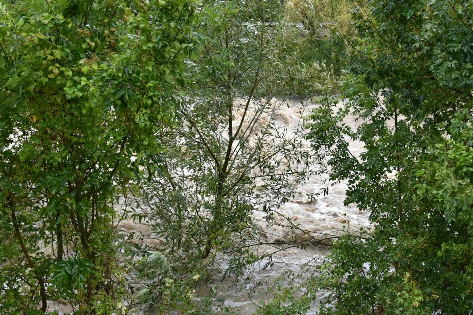 Hochwasser-Einsatz im Triestingtal