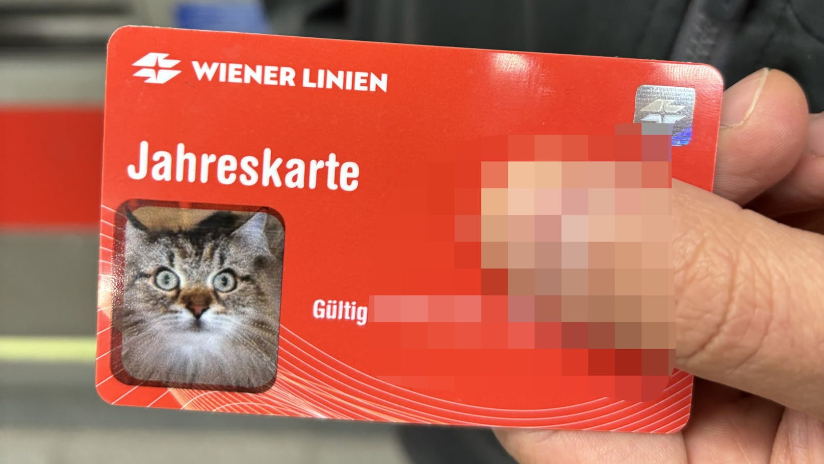 Die Katzen-Jahreskarte ist bezahlt und daher gültig.