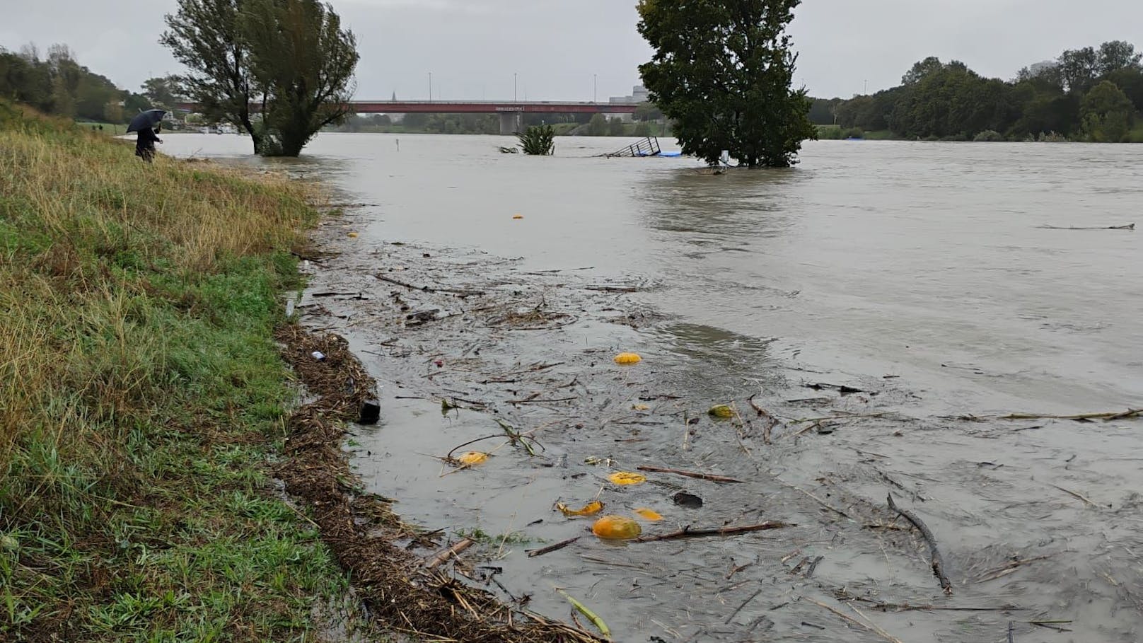 Die Donauinsel am Sonntagnachmittag.