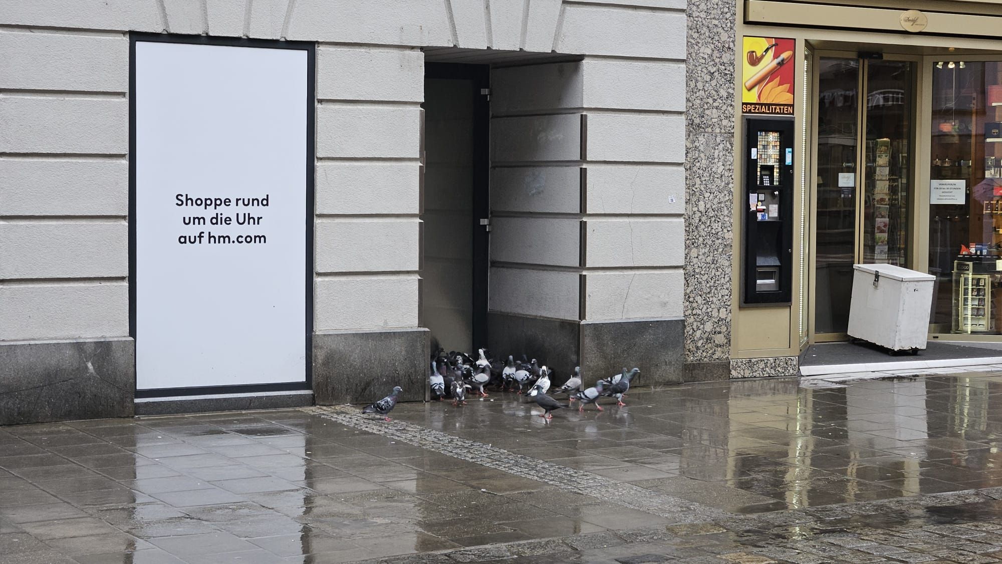 Auch die Tauben suchen in der Linzer Innenstadt Schutz vor dem Regen.