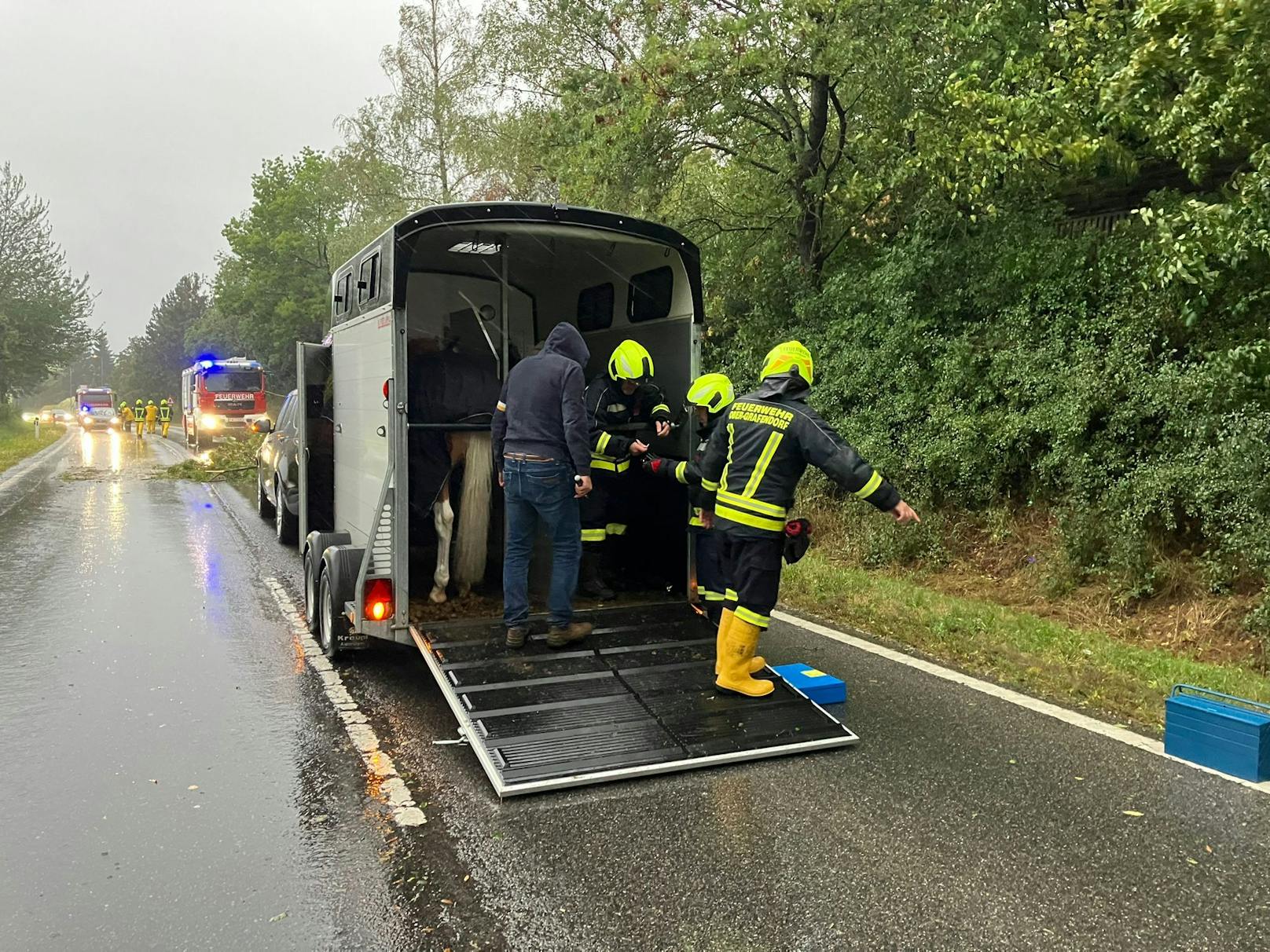 Das Tief "Anett" hat Österreich fest im Griff! Der Zugverkehr wurde teilweise eingestellt, dutzende Orte sind Katastrophengebiete. U-Bahnen sind teilweise eingestellt und in Wien gibt es erste Überflutungen und Evakuierungen. "Heute" hat die Unwetter-Fotos aus Österreich.