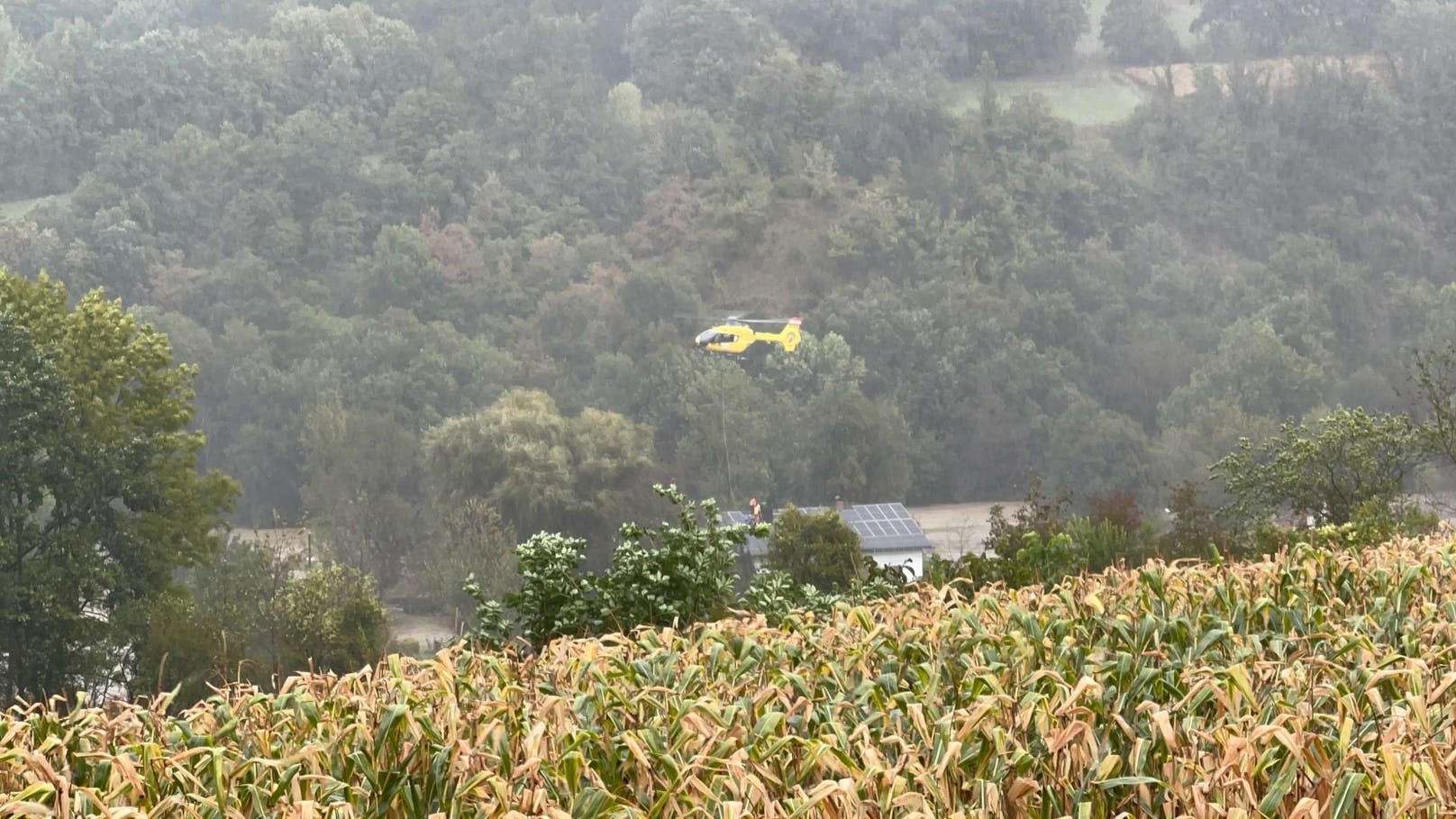 Rettungsaktionen in Melk, Spielberg, Loosdorf und Zelking