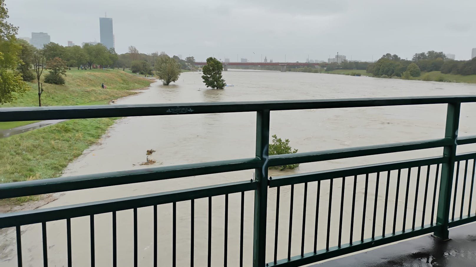 Die Donauinsel am Sonntagnachmittag.