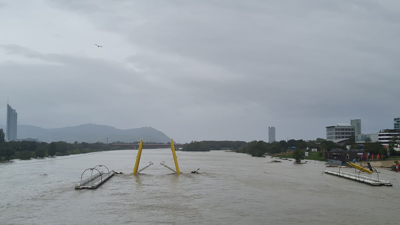 Die Lage auf der Wiener Donauinsel ist angespannt.