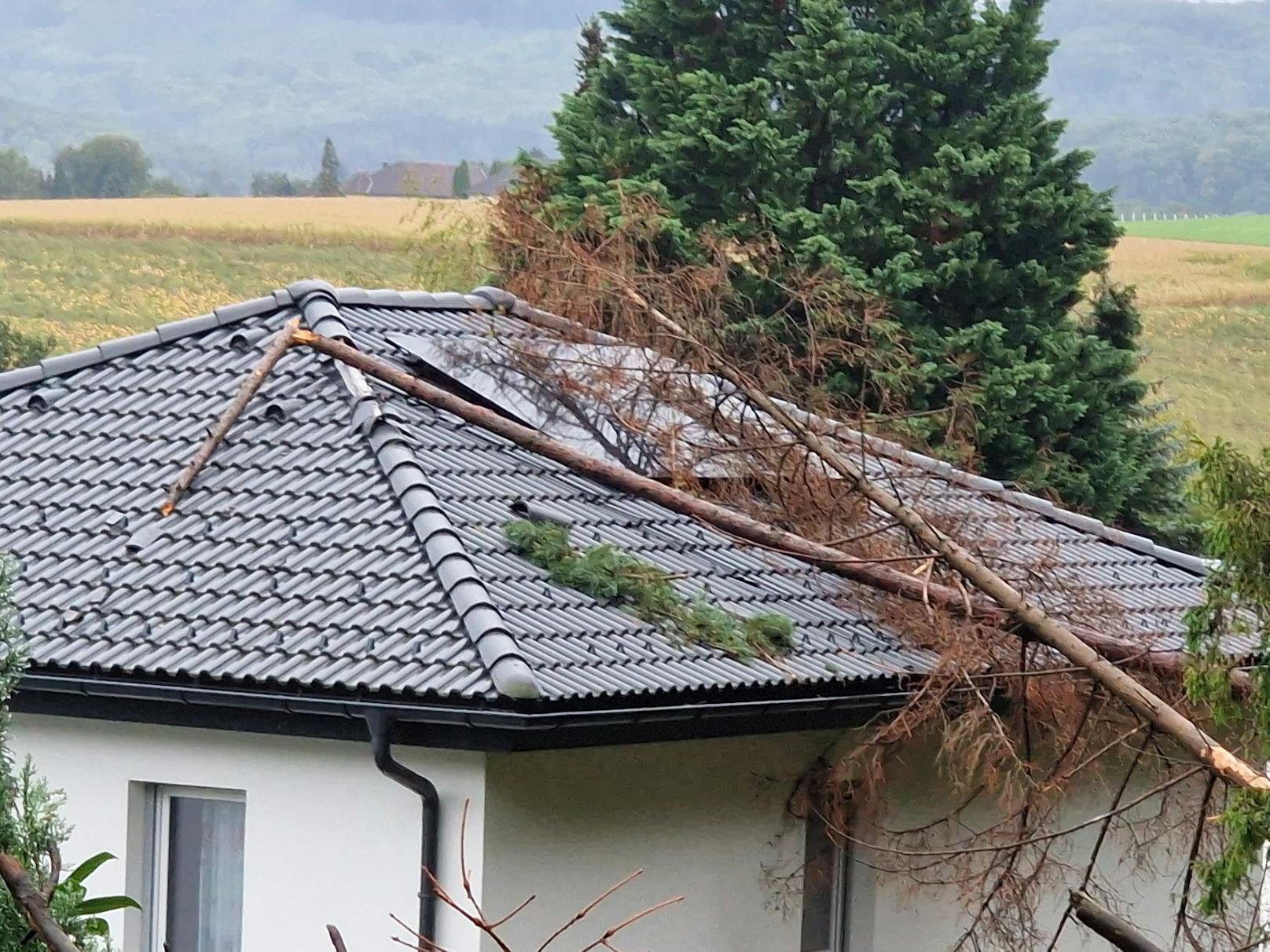 Ein heftiger Sturm führte am Sonntagabend in Sieghartskirchen zu einer massiven Wassermasse, die vom Wald auf das Haus der betroffenen Familie stürzte.